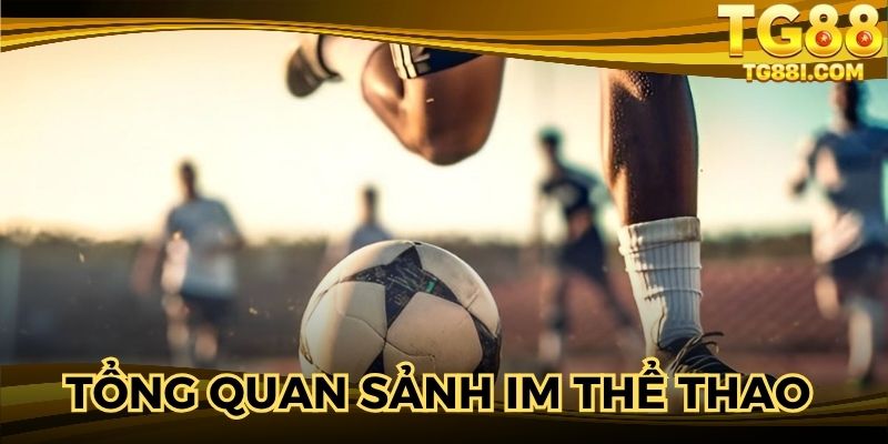 Tổng quan về sảnh game IM thể thao 